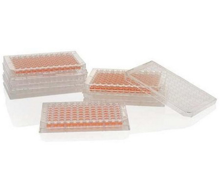 美國NUNC賽默飛 96孔細胞培養(yǎng)板167008，進口培養(yǎng)板