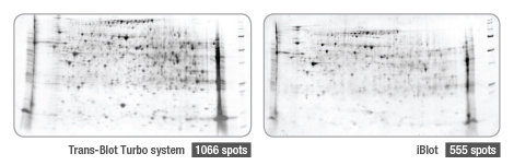BIO-RAD Trans-Blot&reg;Turbo美國(guó)伯樂(lè)全能型蛋白轉(zhuǎn)印系統(tǒng)1704150