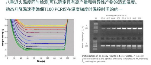 美國(guó)Bio-rad伯樂(lè)T100 PCR儀，進(jìn)口梯度pcr
